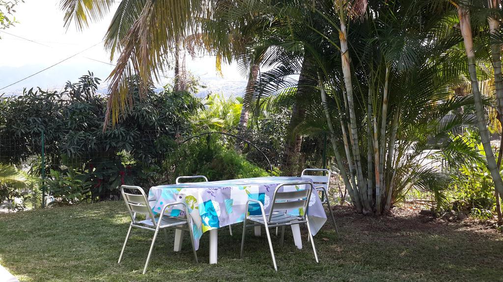 La Villa Des PalmesBois d'Olive エクステリア 写真